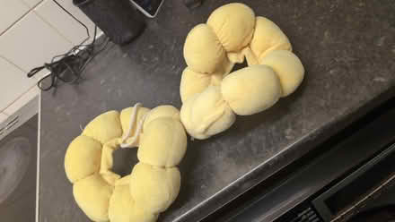 Photo of free Cat collar (Bromley North BR1) #1