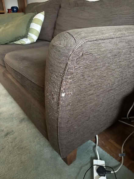 Photo of free Four and Two Seater Sofas (Upper Bourne GU10) #1