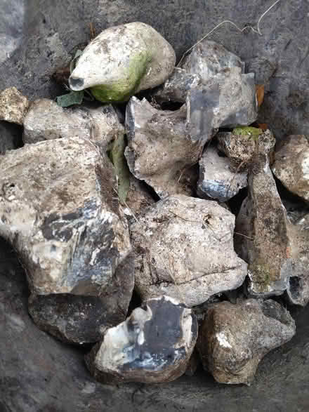 Photo of free Flint stone - for a rockery perhaps? (Wallands Park BN7) #2