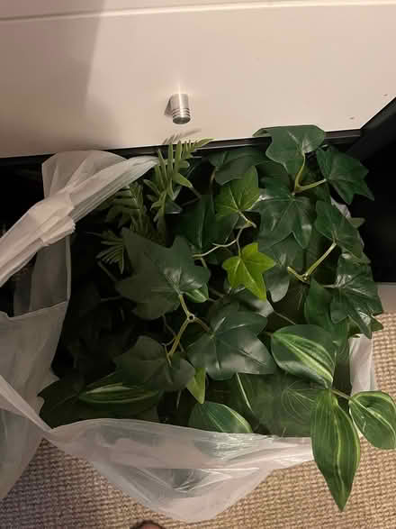 Photo of free Faux plant/flower panels IKEA (Shenley Brook End MK5) #1