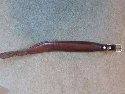 Photo of free Padded dog collar (Osney OX2) #2