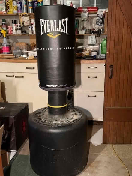 Photo of free Everlast punching bag (Winchester) #1