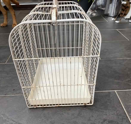 Photo of free Cat travel box (AB51) #3