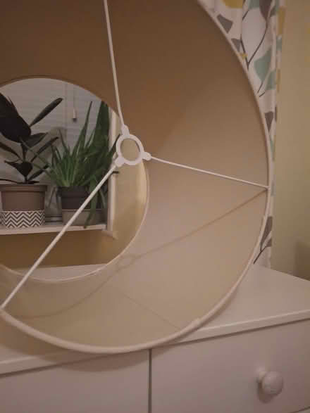 Photo of free Lampshade (Dawlish EX7) #2