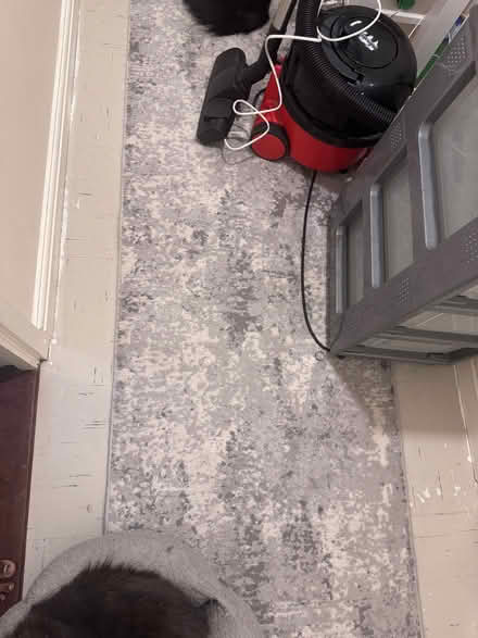 Photo of free Runner rug (Hackney Downs E5) #1