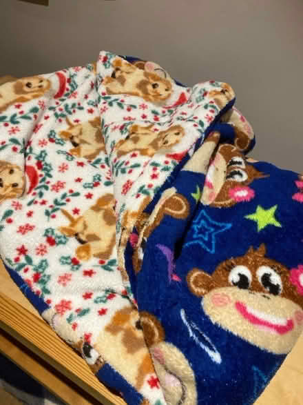 Photo of free Snuggle blanket (St Albans AL3) #1