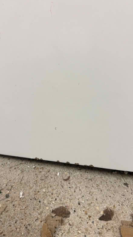 Photo of free white dinner table (Brentford TW8) #4