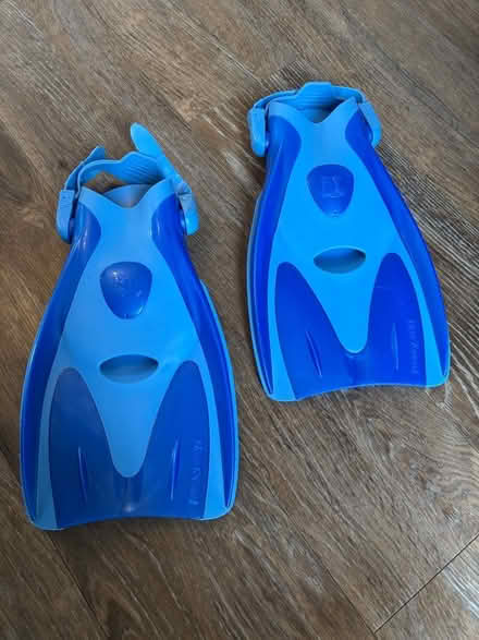 Photo of free Reef Tourer Flippers (Waterlooville PO7) #1