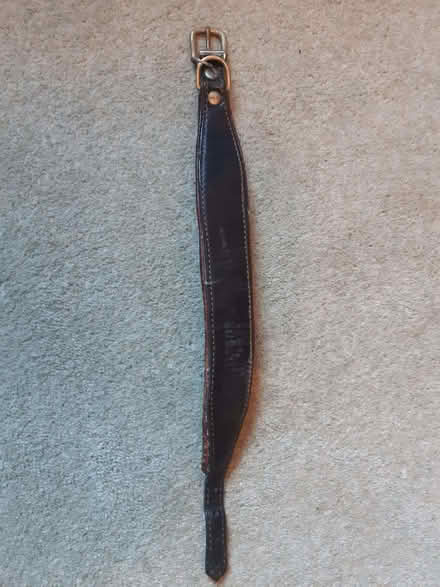 Photo of free Padded dog collar (Osney OX2) #1