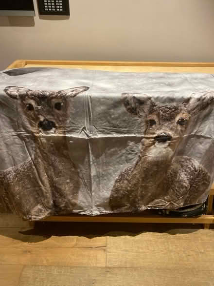 Photo of free Two single duvet covers (St Albans AL3) #1