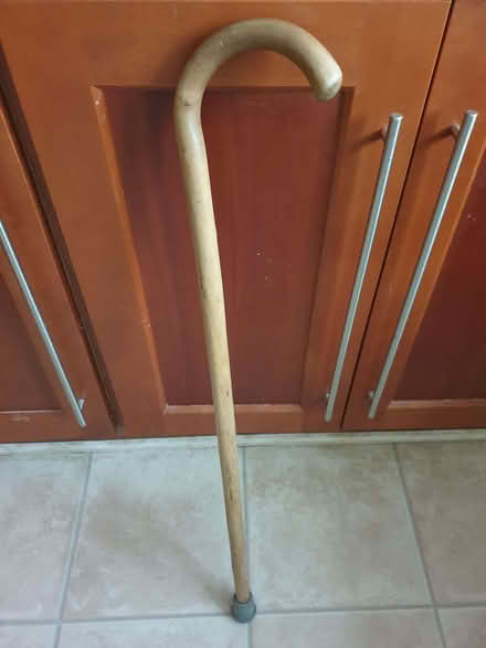 Photo of free Walking stick (DA1) #1