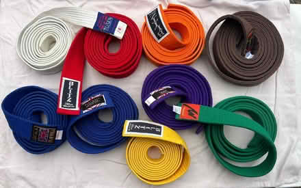 Photo of free Karate belts (Brecon LD3) #1