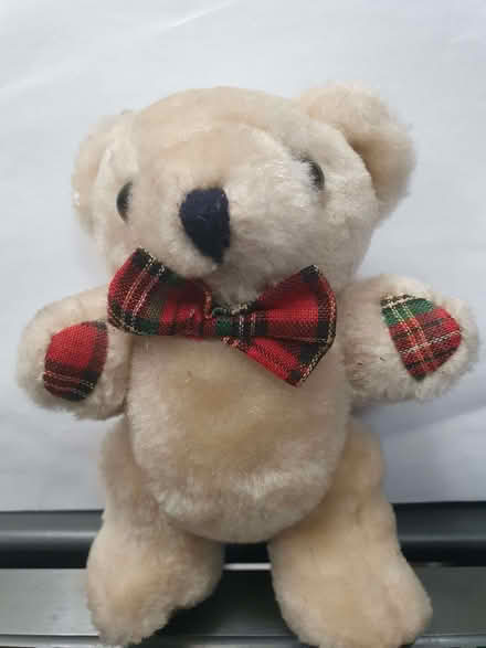 Photo of free Tiny Teddy (Booker HP12) #1