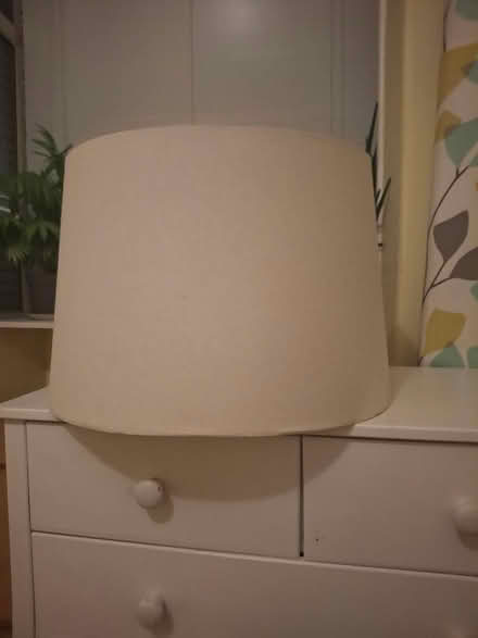 Photo of free Lampshade (Dawlish EX7) #1
