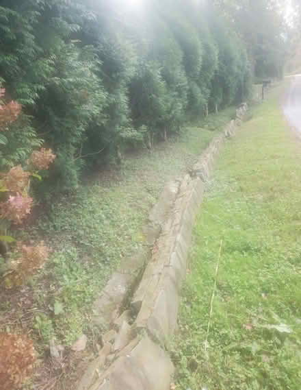 Photo of free stone from fallen ledge wall (Hendersonville nc) #2