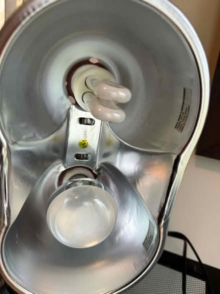 Photo of free 20 gal terrarium w/ accessories (Cap Hill) #4