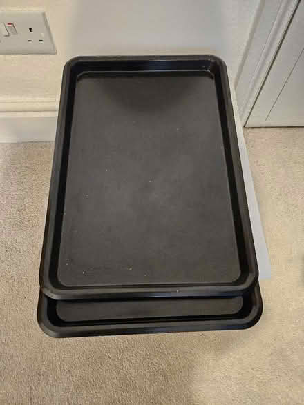 Photo of free Large baking trays (Kendal LA9) #1