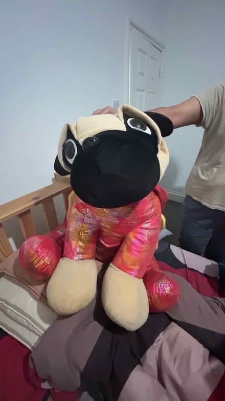 Photo of free Big teddy and picknick basket and utensils (Hanley ST1) #1