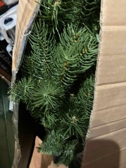 Photo of free 5ft tall Christmas tree (Honiton central) #2