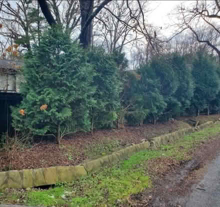 Photo of free stone from fallen ledge wall (Hendersonville nc) #1