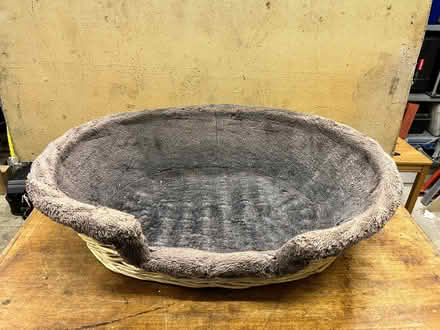 Photo of free Dog baskets (Wirksworth DE4) #2