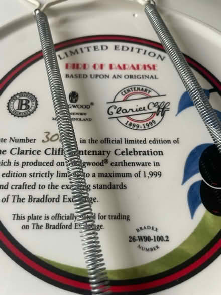 Photo of free Clarice cliff based on original (GL116JR cam) #2