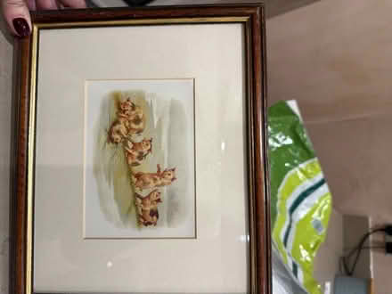 Photo of free Framed prints. (Camberley GU15) #3