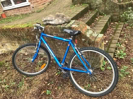 Photo of free Blue Basic Bicycle (SG4 9AB) #1