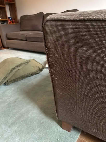 Photo of free Four and Two Seater Sofas (Upper Bourne GU10) #2