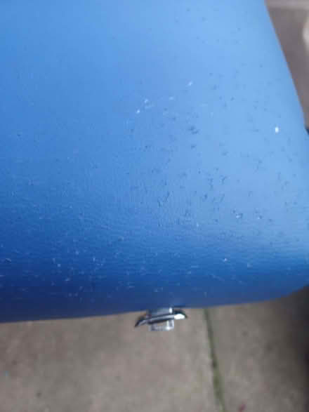 Photo of free Massage Table (Debden IG10) #1