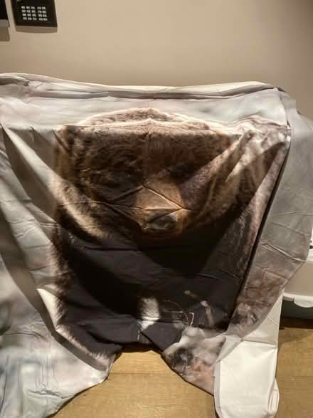 Photo of free DUVET COVET - size DOUBLE (St Albans AL3) #1