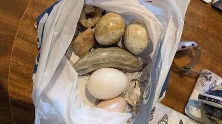 Photo of free Decorative stones & rocks (Walderslade woods ME5) #1