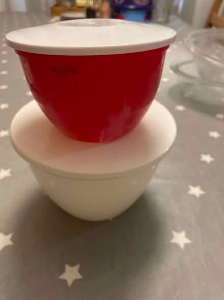 Photo of free Plastic pudding basins (Wallands Park BN7) #1