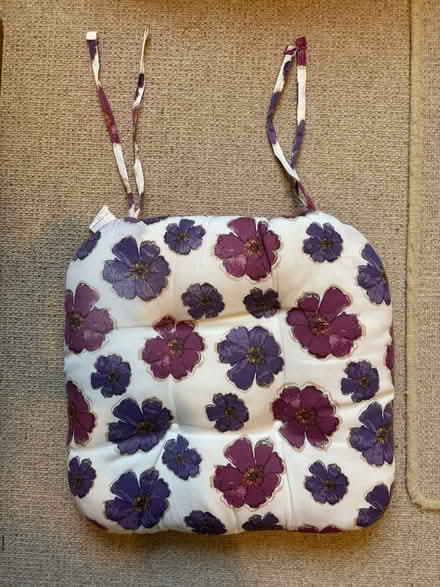 Photo of free Chair cushions (Hertford SG13) #1