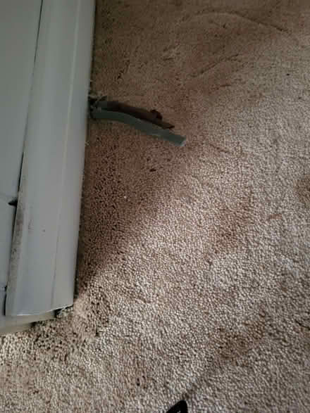 Photo of free Carpet light beige (Kingsway) #1