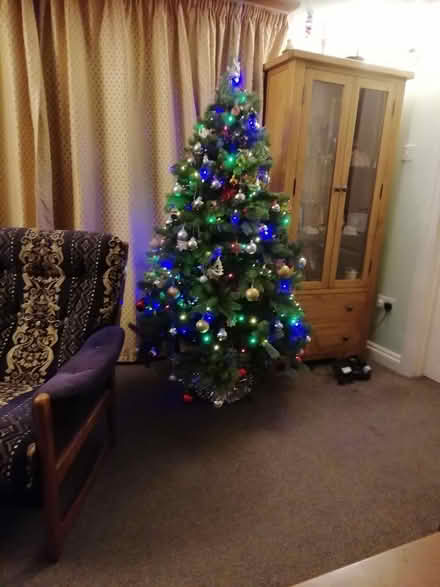 Photo of free 5ft tall Christmas tree (Honiton central) #2