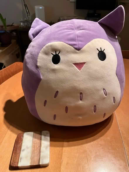 Photo of free Large squishmallow (Etobicoke South (Mimico)) #1