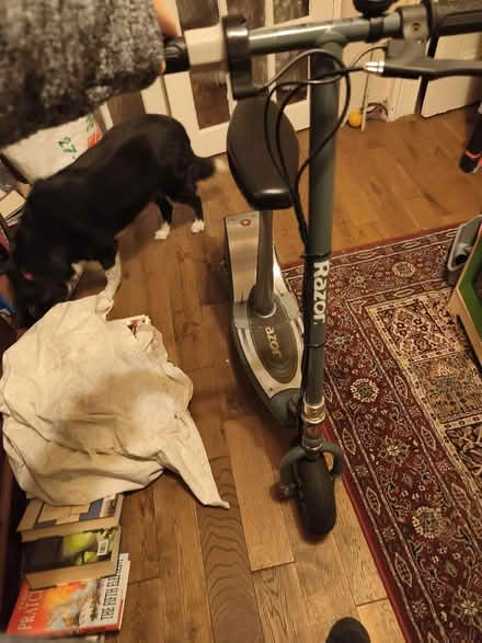 Photo of free Electric scooter 🛵 (Bangor BT20) #1