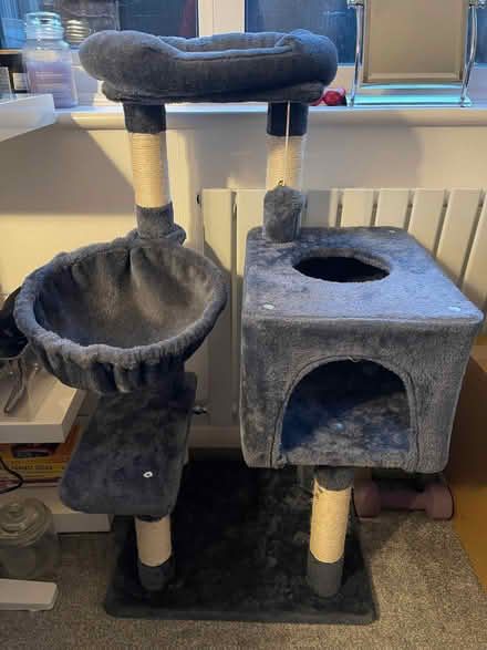 Photo of free Cat tree (Burgess Hill RH15) #2