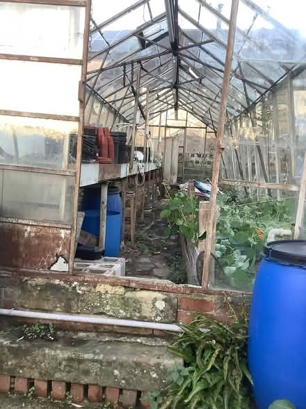 Photo of free 30ft greenhouse (Matlock DE4) #2