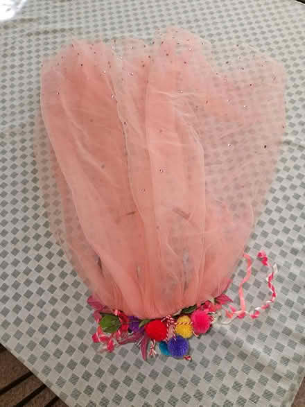Photo of free Headpiece with veil (Wallingford) #2
