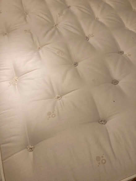 Photo of free Lovely double bed and mattress (Norbury SW16) #3