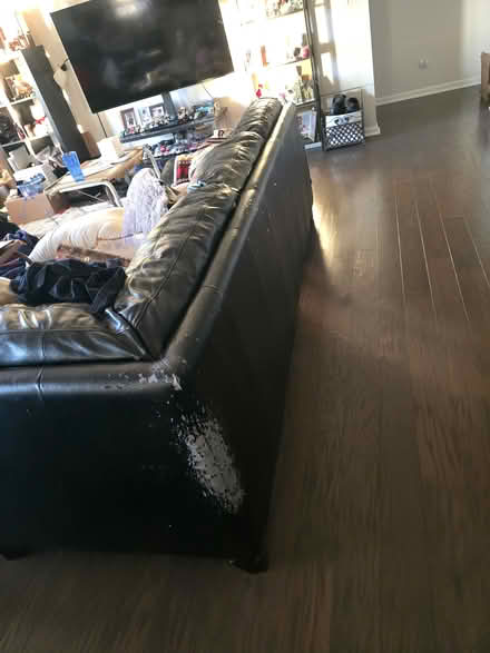 Photo of free L shape Coaches (Canton) #1