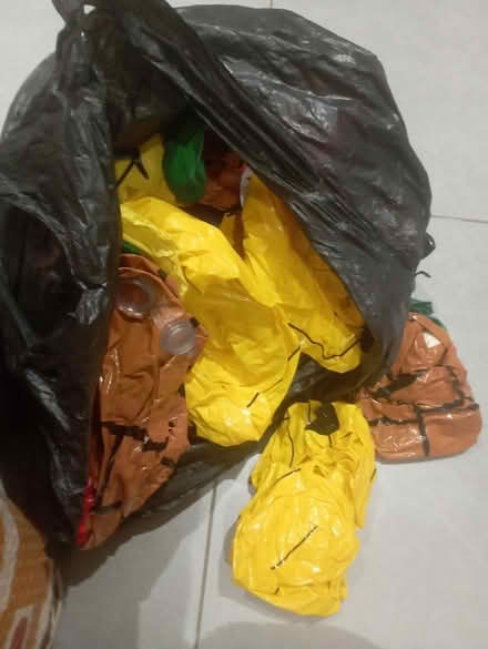 Photo of free Blow up animals and palms (High Barnet EN5) #1