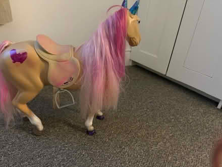 Photo of free Horse and a house (BL8) #3