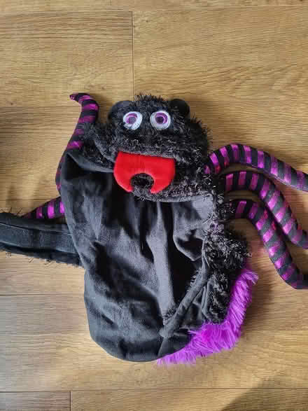 Photo of free Halloween dog coat (Shenley Brook End MK5) #1