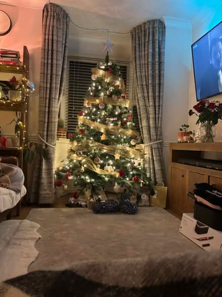 Photo of free Large indoor Christmas Tree (Hull HU5) #2