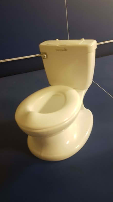Photo of free Child's Potty (Bexley DA1) #1