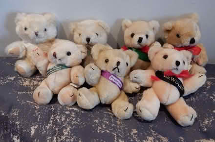 Photo of free Seven Small Teddy Bears Looking for A New Home (Kenn Road BS21) #1