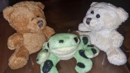Photo of free 3 mini teddies (Lambeth SW8) #1